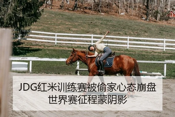 JDG红米训练赛被偷家心态崩盘 世界赛征程蒙阴影